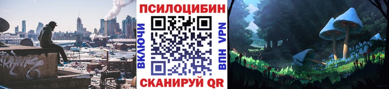 Галлюциногенные грибы MAGIC MUSHROOMS  Купить закладки  Княгинино 